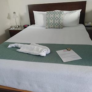 Bugambilias Suites